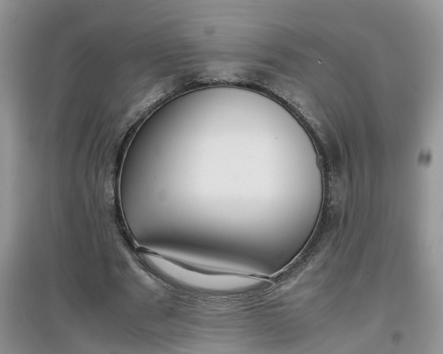 X0000097660489200803142135