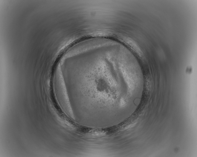 X0000097660491200803142135