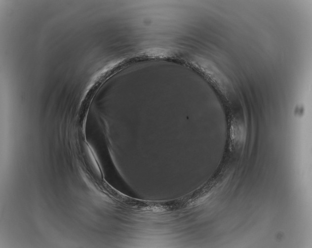 X0000097660492200803142135