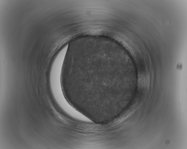 X0000097660493200803142135