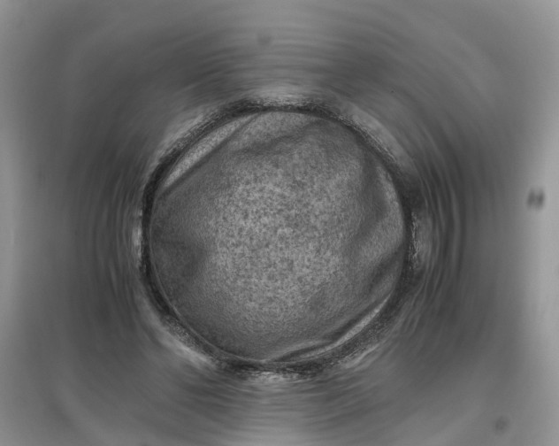 X0000097660494200803142135