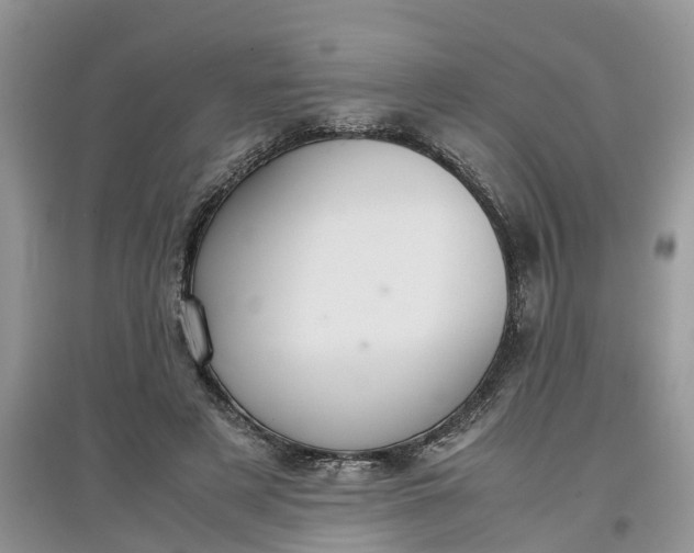 X0000097660497200803142135