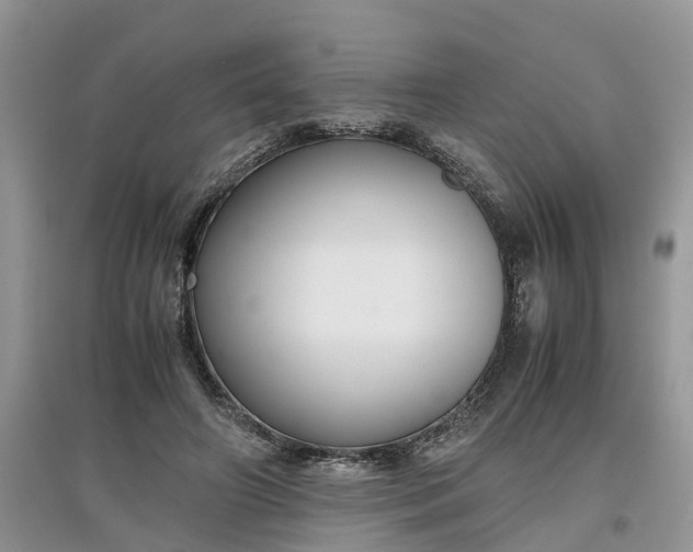 X0000097660498200803142135