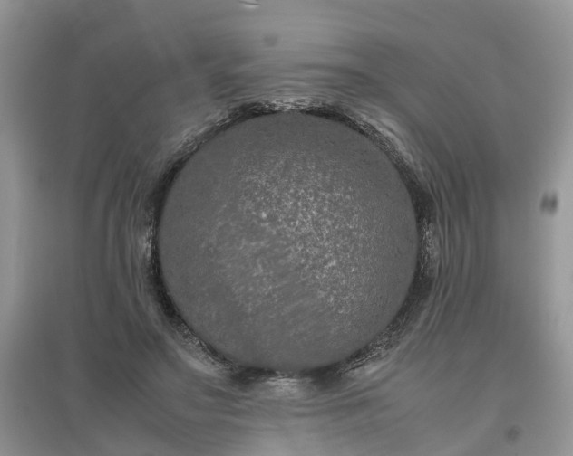 X0000097660499200803142135