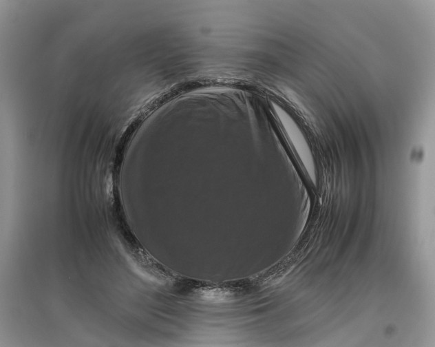 X0000097660500200803142135