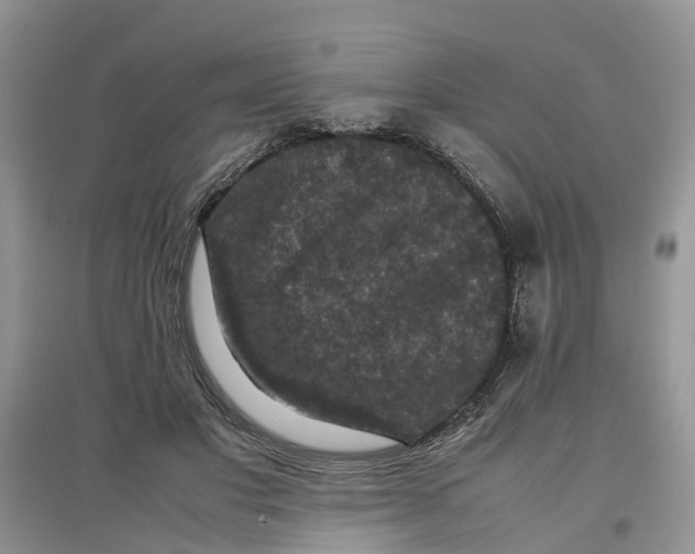 X0000097660501200803142135