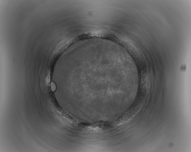 X0000097660502200803142135
