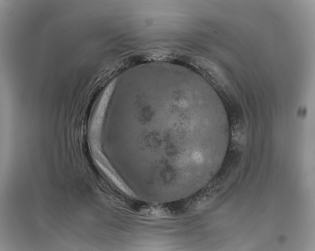X0000097660503200803142135