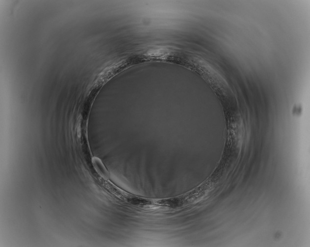 X0000097660504200803142135
