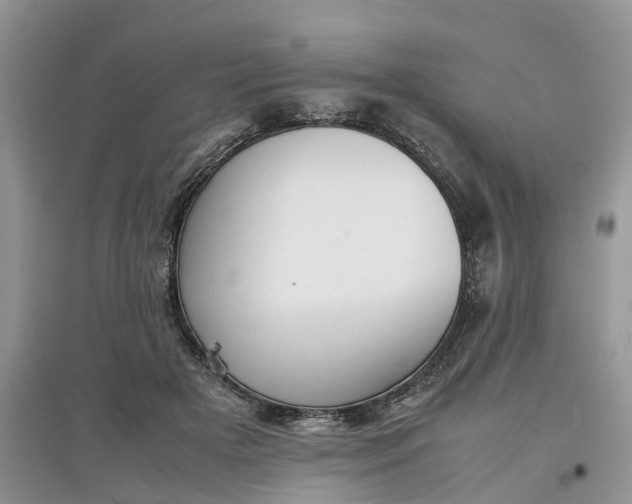 X0000097660505200803142135