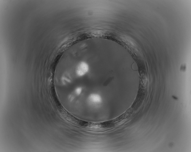 X0000097660507200803142135
