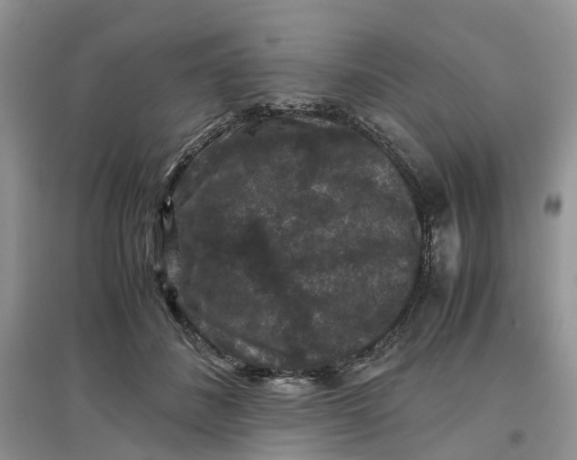 X0000097660508200803142135