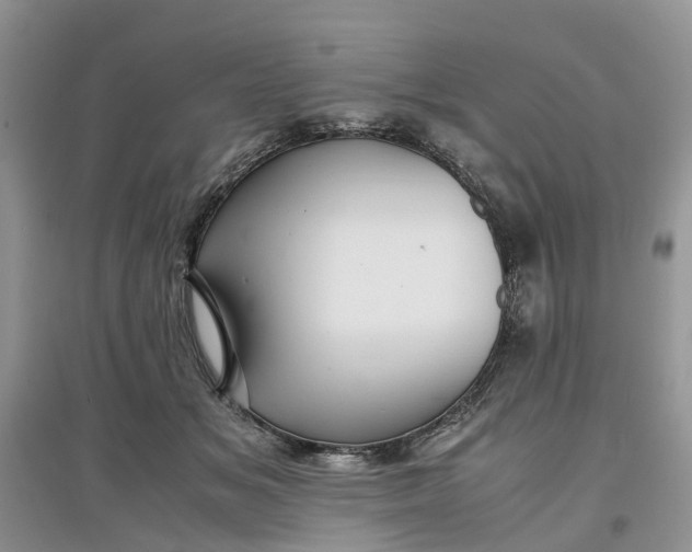 X0000097660509200803142135