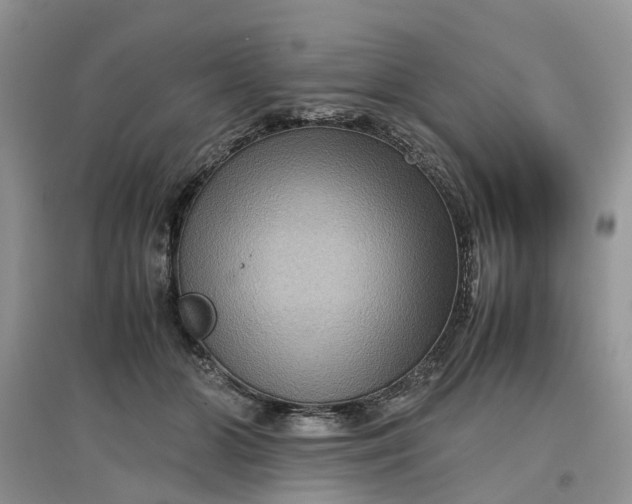 X0000097660510200803142135