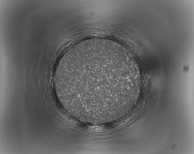 X0000097660511200803142135