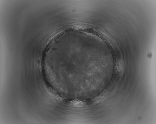 X0000097660512200803142135