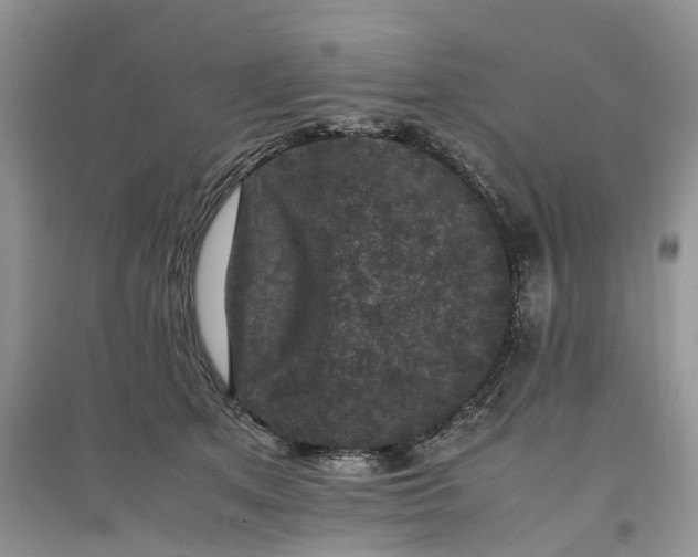 X0000097660513200803142135