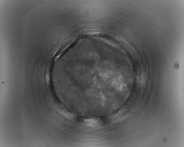 X0000097660516200803142135
