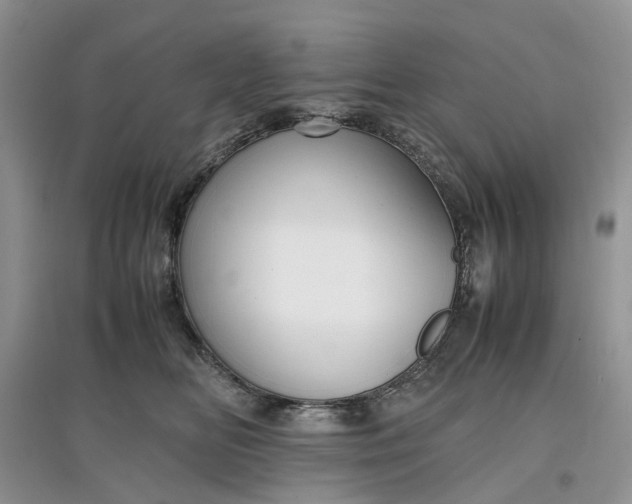 X0000097660518200803142135