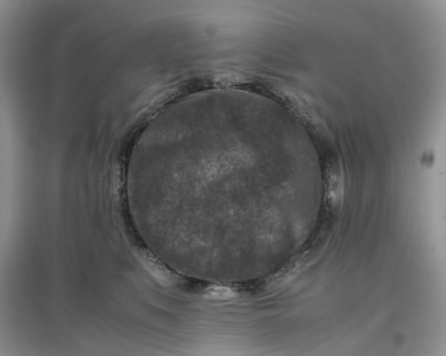 X0000097660519200803142135