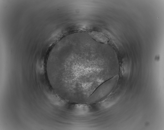 X0000097660520200803142135