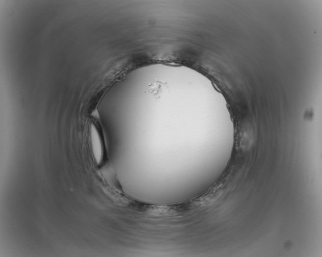 X0000097660521200803142135