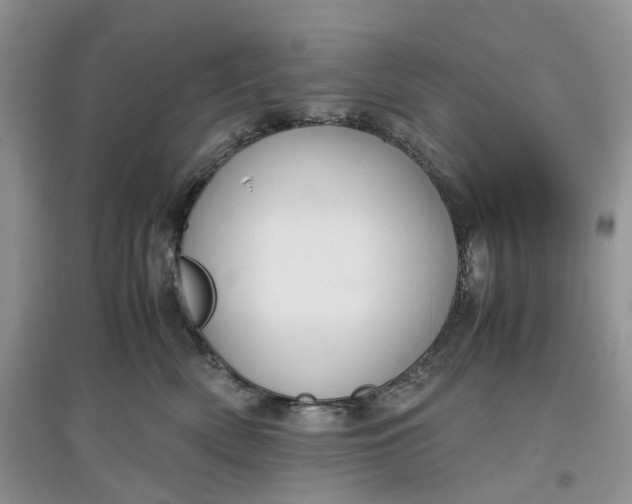 X0000097660522200803142135