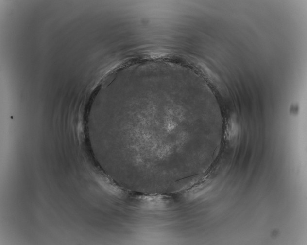 X0000097660524200803142135