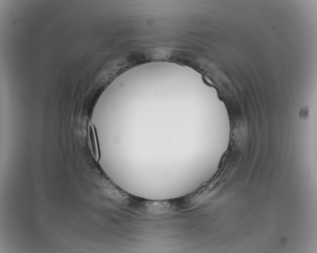 X0000097660525200803142135