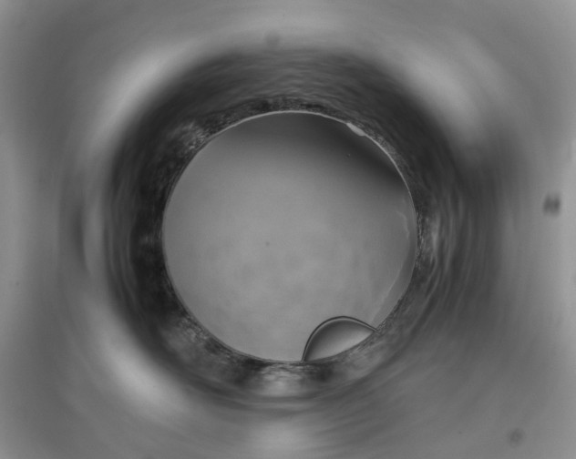 X0000097660526200803142135