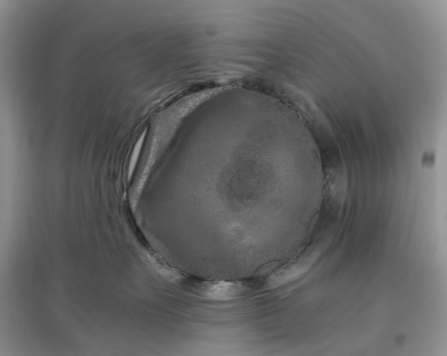 X0000097660527200803142135