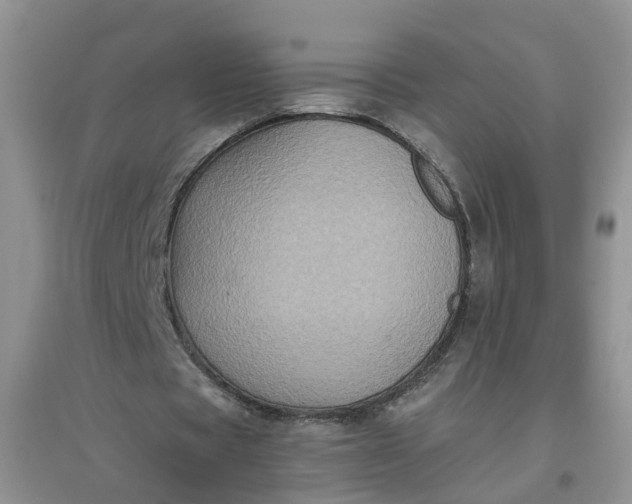 X0000097660529200803142134