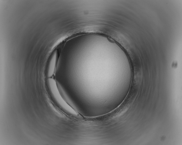 X0000097660530200803142134