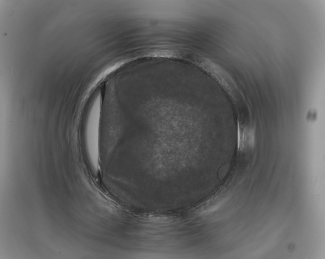 X0000097660531200803142134