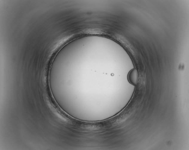 X0000097660533200803142134