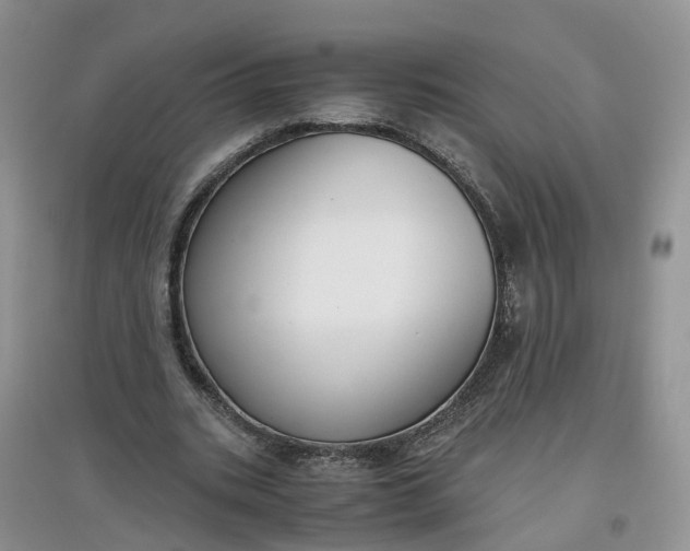 X0000097660535200803142134