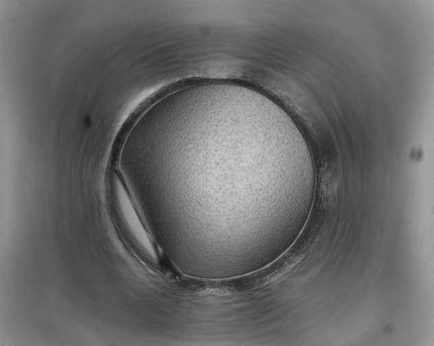 X0000097660536200803142134