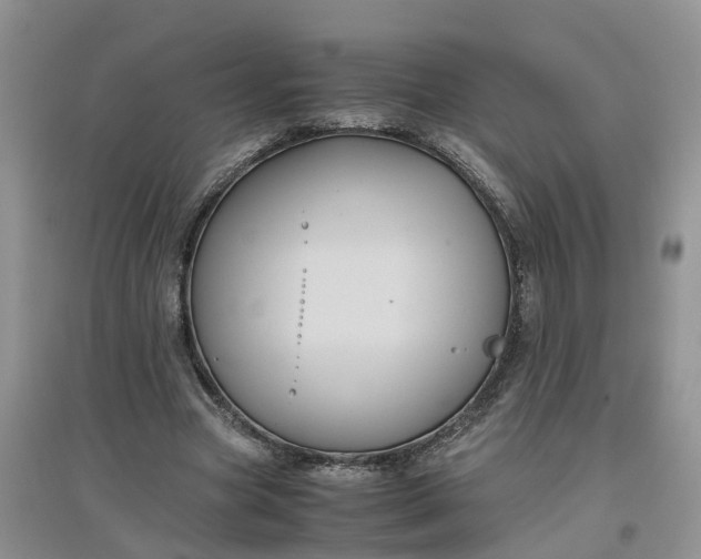 X0000097660537200803142134