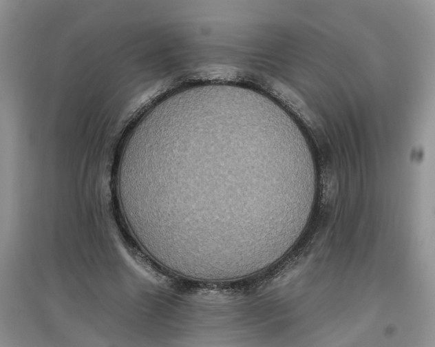 X0000097660538200803142134