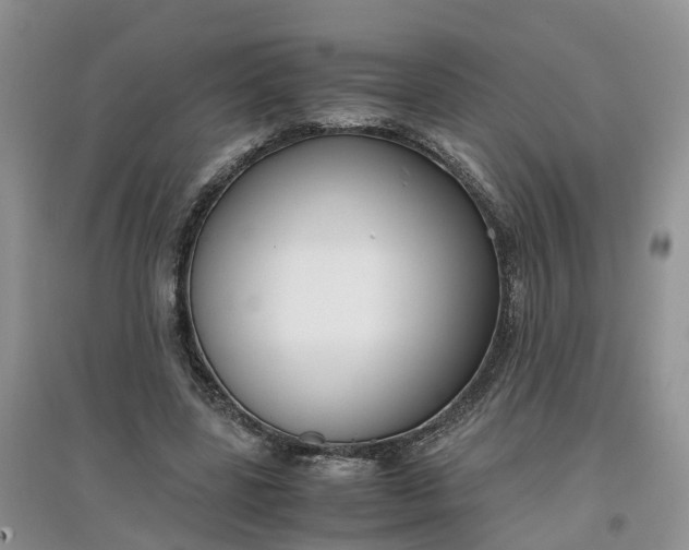 X0000097660539200803142134