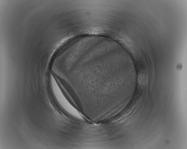 X0000097660540200803142134