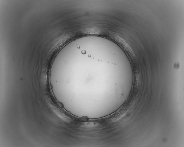 X0000097660541200803142134
