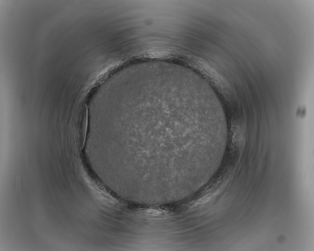 X0000097660542200803142134