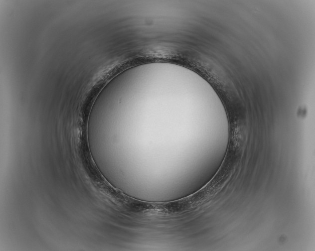 X0000097660544200803142134