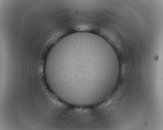 X0000097660545200803142134