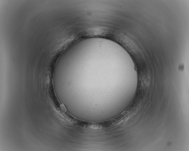 X0000097660546200803142134