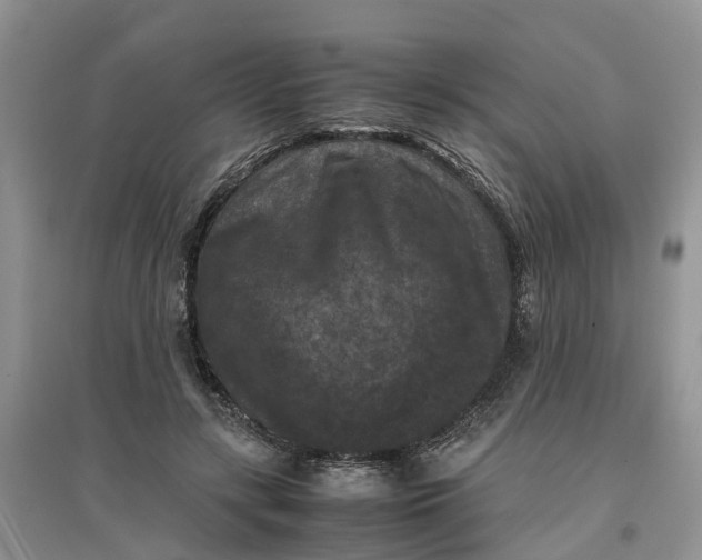 X0000097660547200803142134
