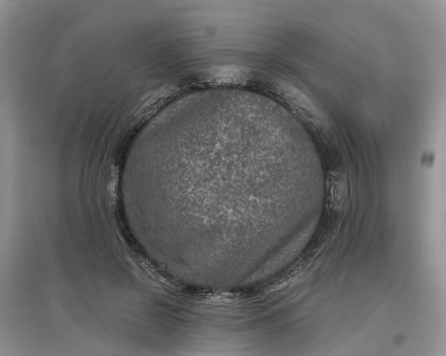 X0000097660550200803142134