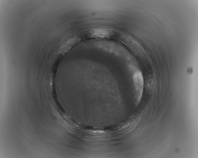 X0000097660551200803142134