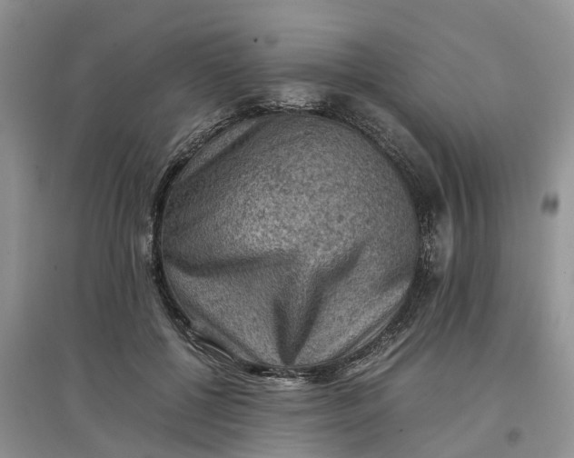 X0000097660552200803142134